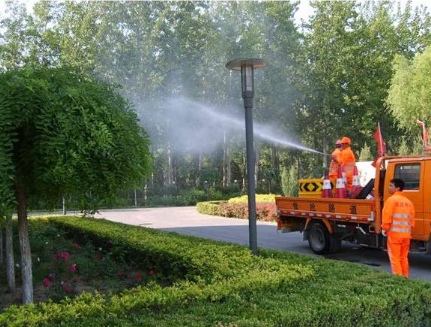 上海专业砍树公司说说大树移植问题