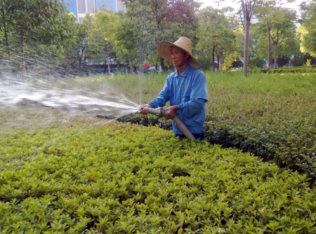 上海绿化养护
